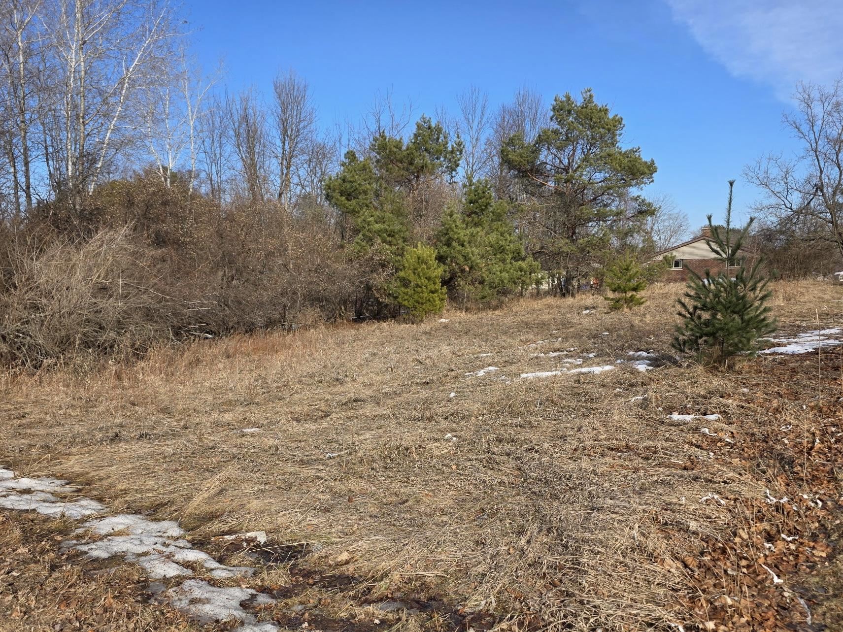 Knoke Street, Unit 1 Gresham, WI 54128 - Photo 3 of 6