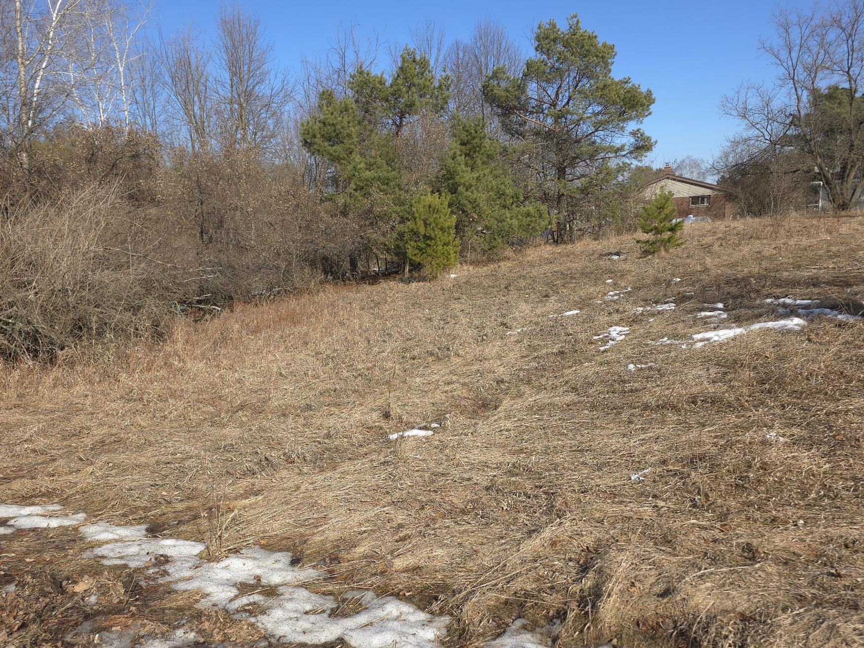 Knoke Street, Unit 1 Gresham, WI 54128 - Photo 4 of 6