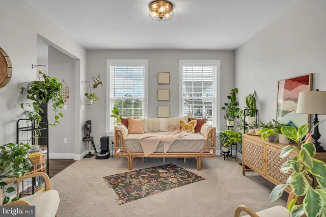 a living room with furniture windows and a potted plant
