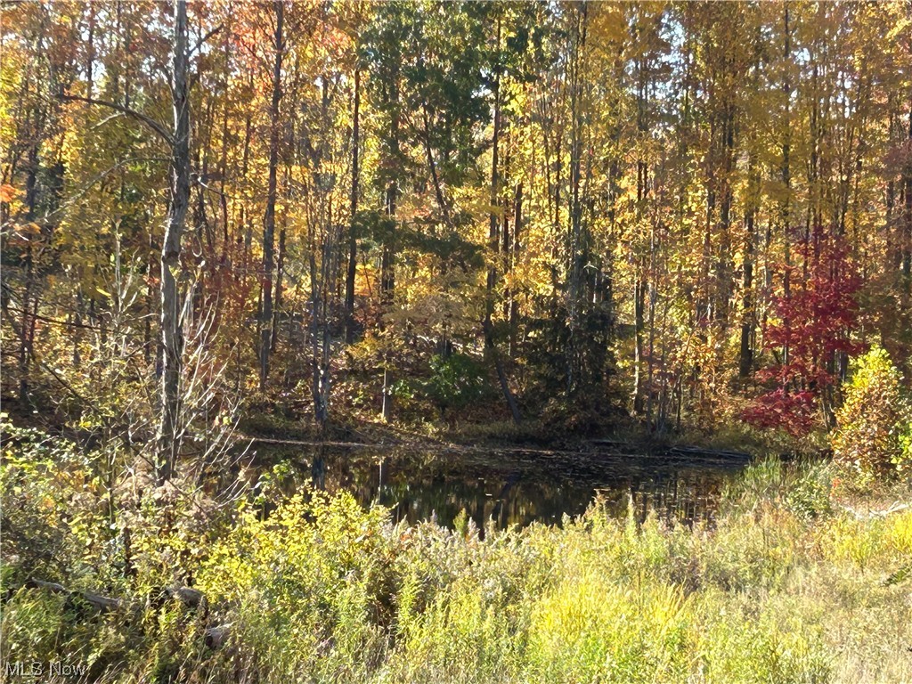 Vl South Ridge Road Conneaut, OH 44030 - Photo 10 of 35 View of nature