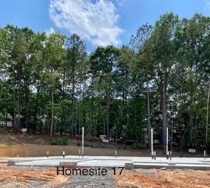 3827 Milltown Ridge Run Raleigh, NC 27612 - Photo 19 of 22 Photo 19