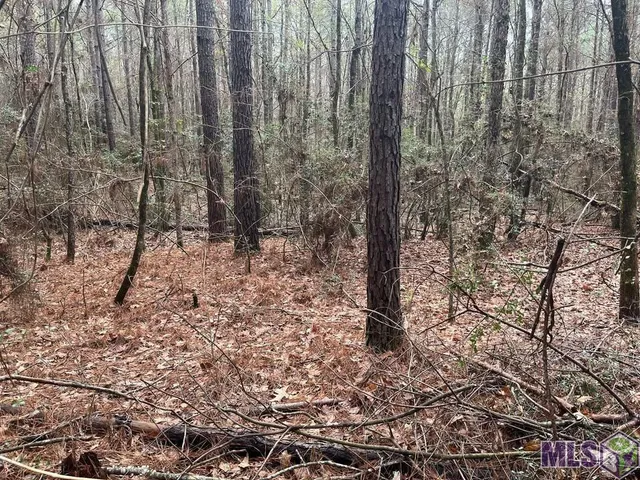 $49,000 | 0 Th Highway, Converse, LA 71419