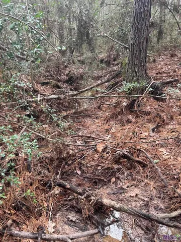 $49,000 | 0 Th Highway, Converse, LA 71419