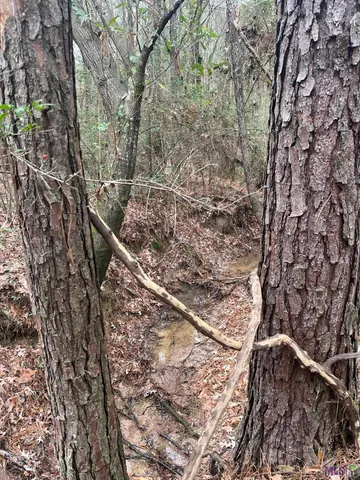 $49,000 | 0 Th Highway, Converse, LA 71419