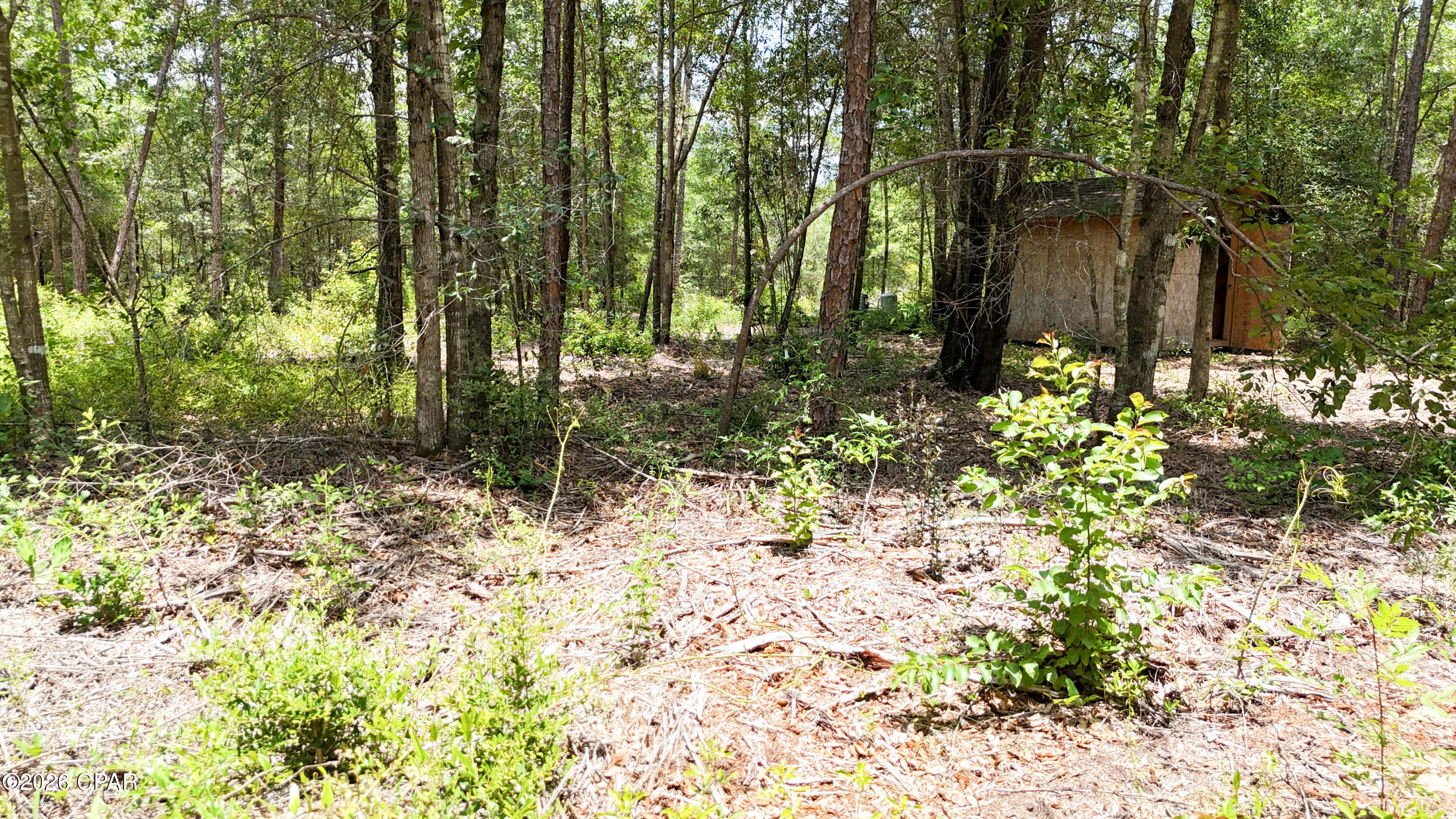 20429 Fettinger Road Fountain, FL 32438 - Photo 21 of 23 Gallery Image 21