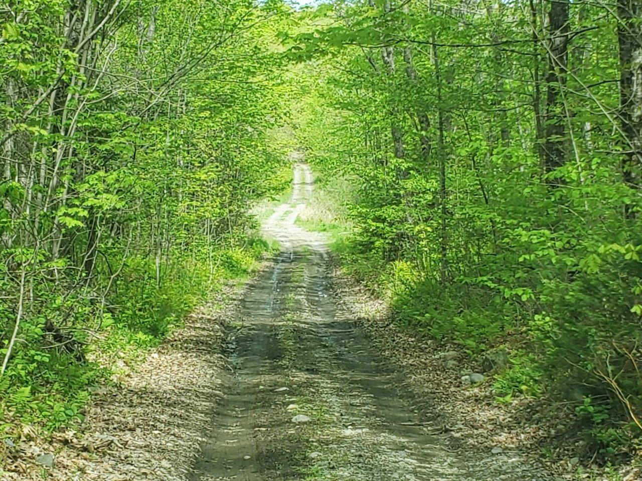 Lot 6 Pleasant Pond Road Milo, ME 04463 - Photo 29 of 38 20260523_143258 adj