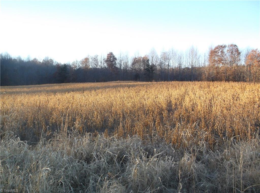 8445 Reid Farm Road Walnut Cove, NC 27052 - Photo 14 of 18 Gallery Image 14