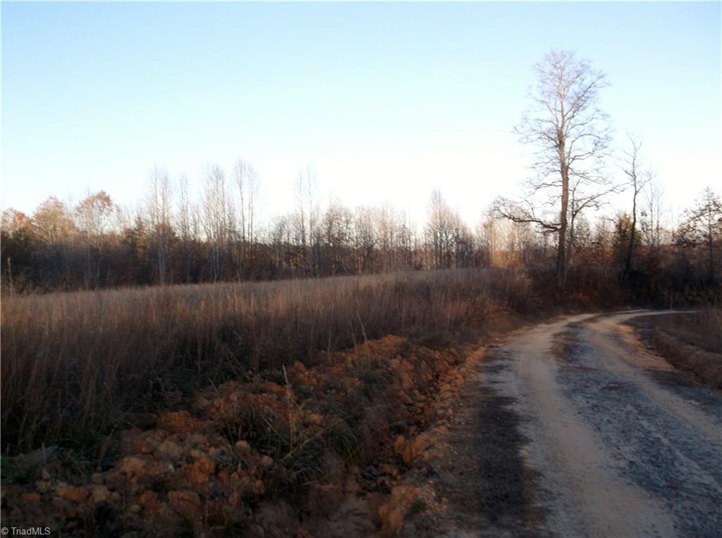8445 Reid Farm Road Walnut Cove, NC 27052 - Photo 8 of 18 Gallery Image 8