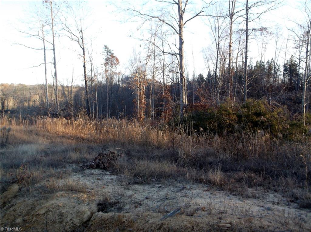 8445 Reid Farm Road Walnut Cove, NC 27052 - Photo 10 of 18 Gallery Image 10