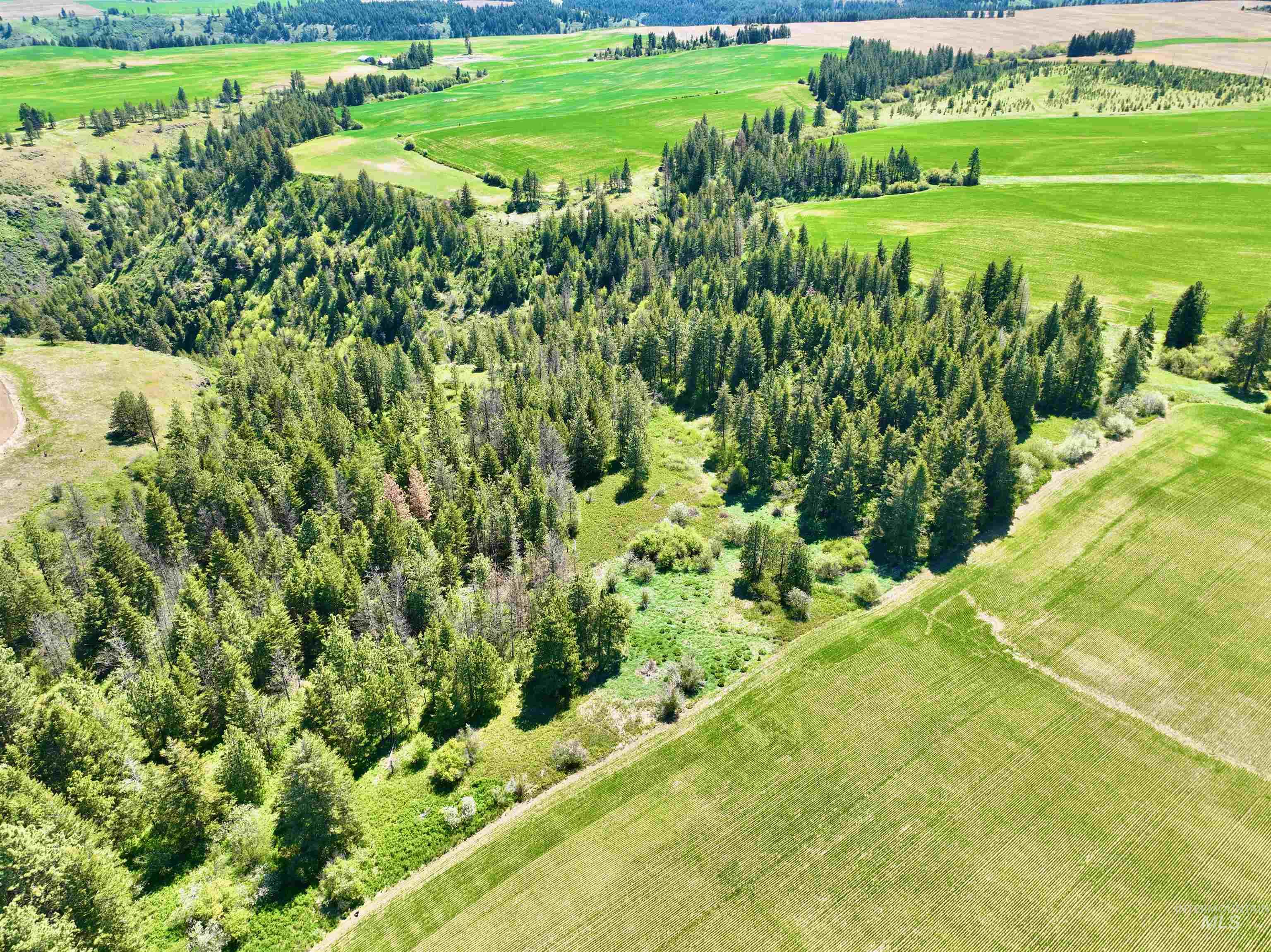 Tbd Fowler Road Culdesac, ID 83524 - Photo 11 of 15
