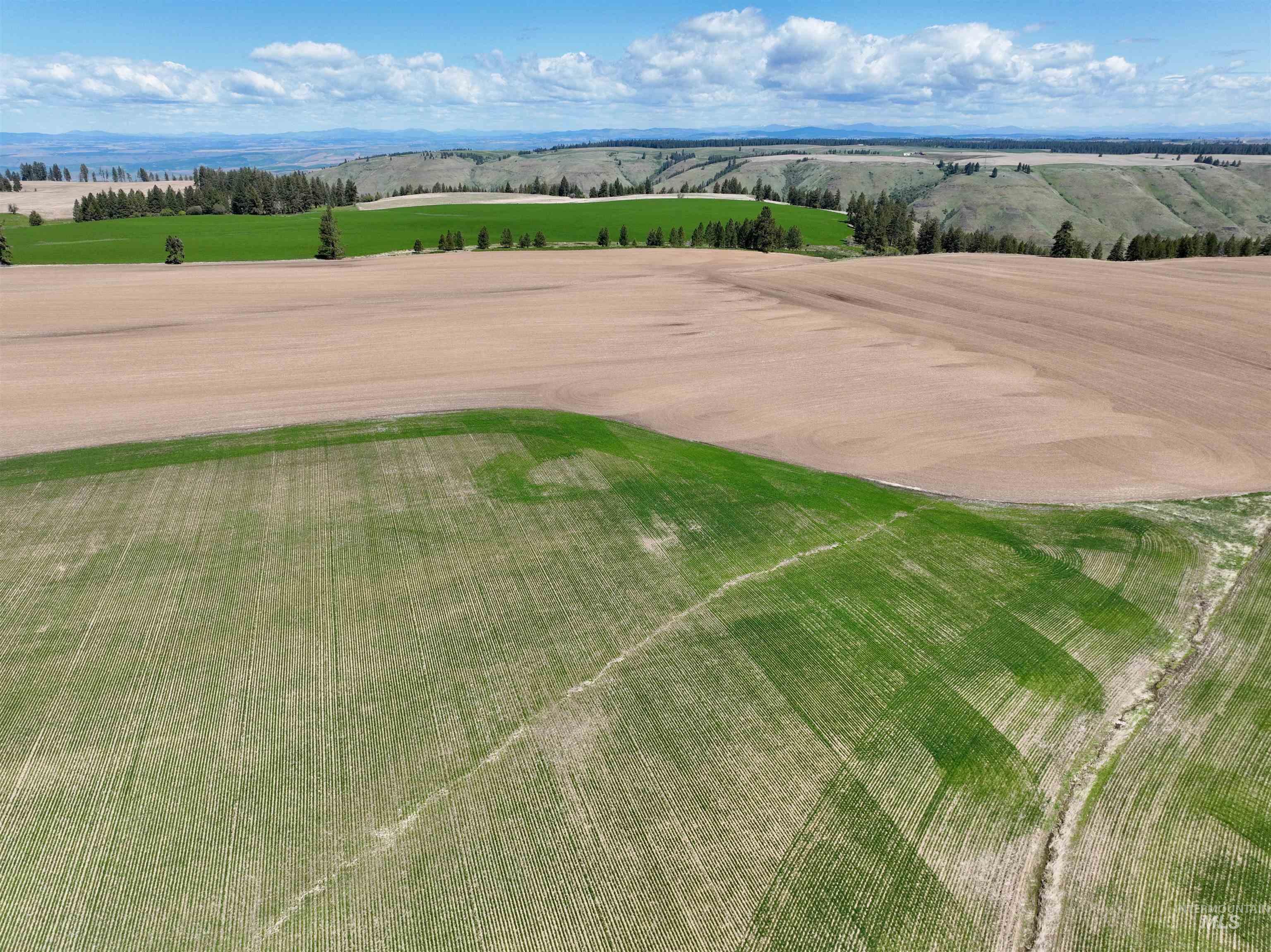 Tbd Fowler Road Culdesac, ID 83524 - Photo 12 of 15