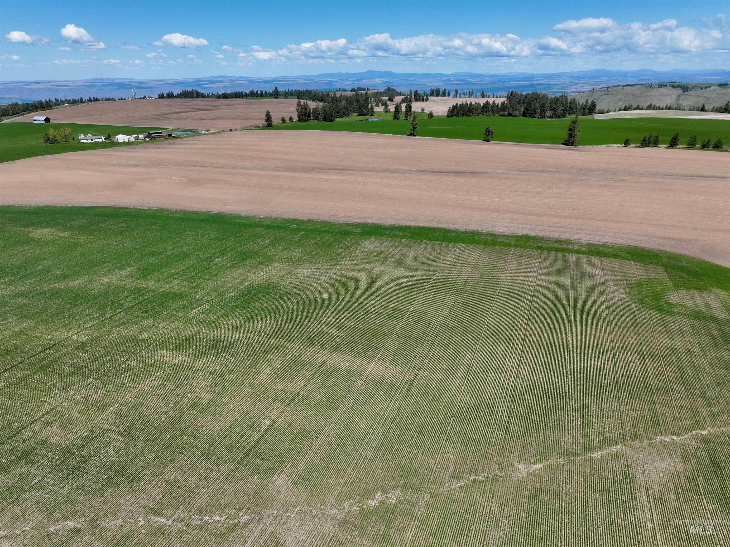 Tbd Fowler Road Culdesac, ID 83524 - Photo 13 of 15