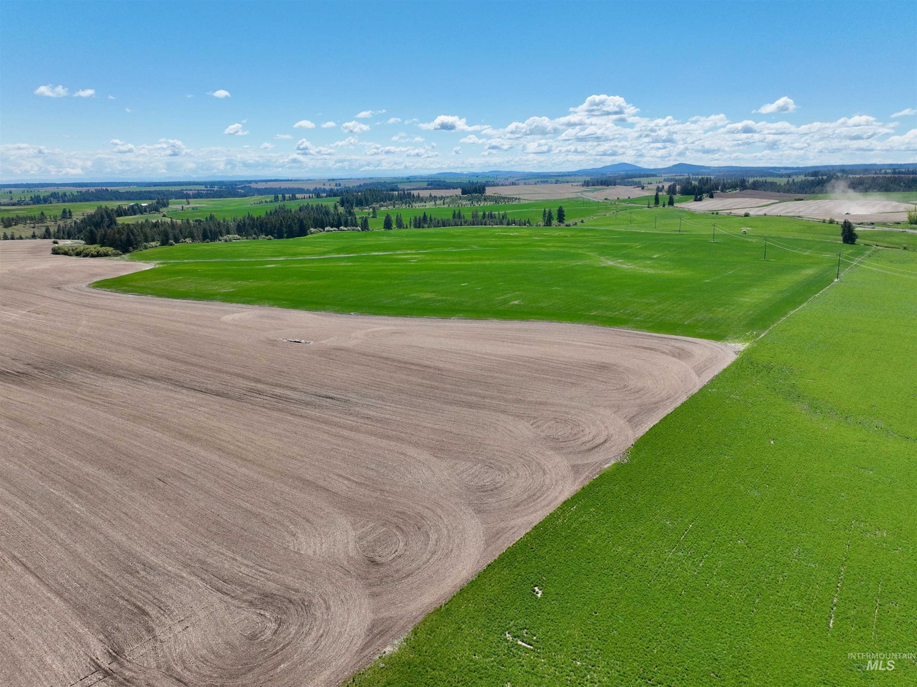Tbd Fowler Road Culdesac, ID 83524 - Photo 4 of 15
