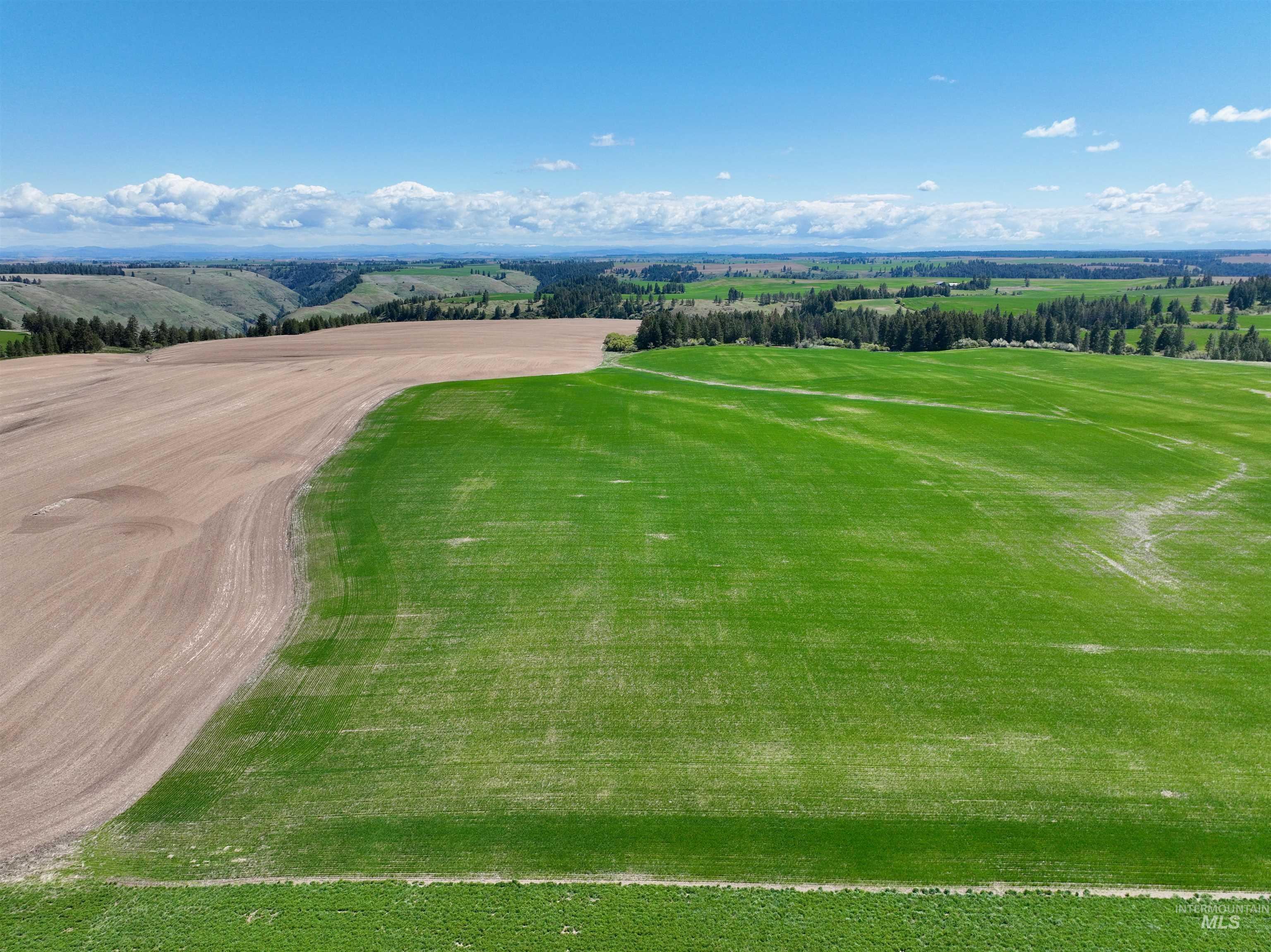 Tbd Fowler Road Culdesac, ID 83524 - Photo 5 of 15
