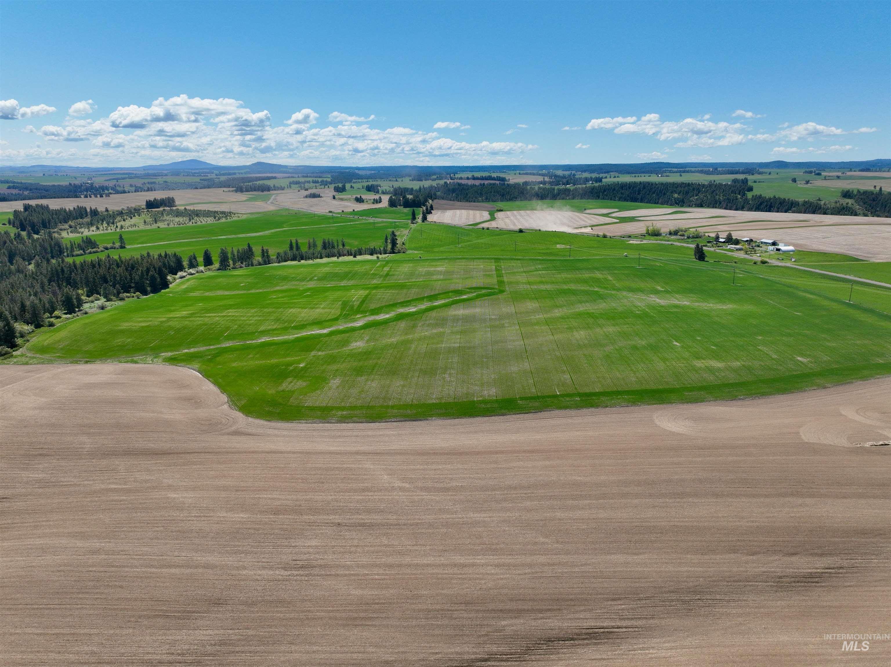 Tbd Fowler Road Culdesac, ID 83524 - Photo 6 of 15