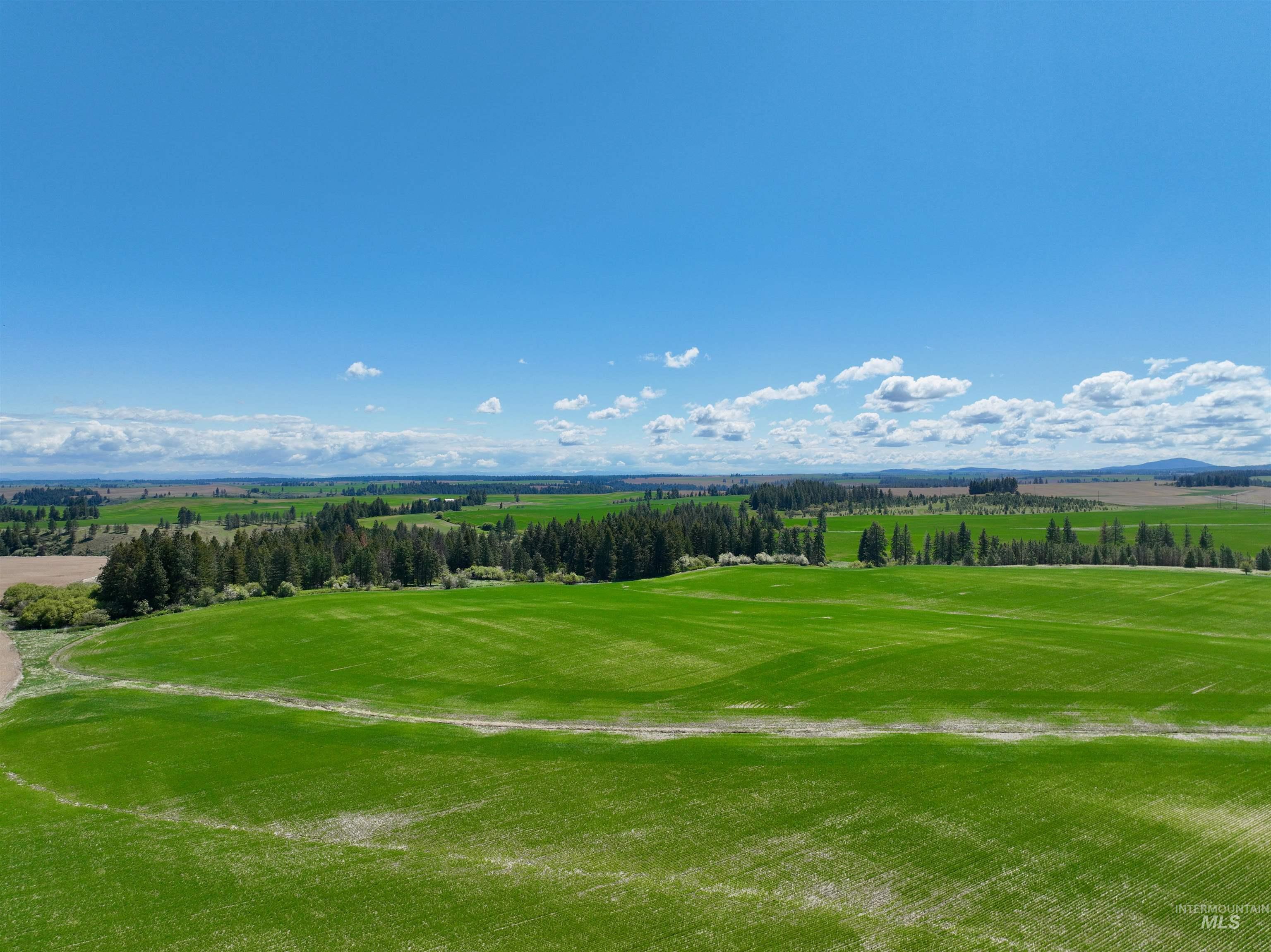Tbd Fowler Road Culdesac, ID 83524 - Photo 8 of 15