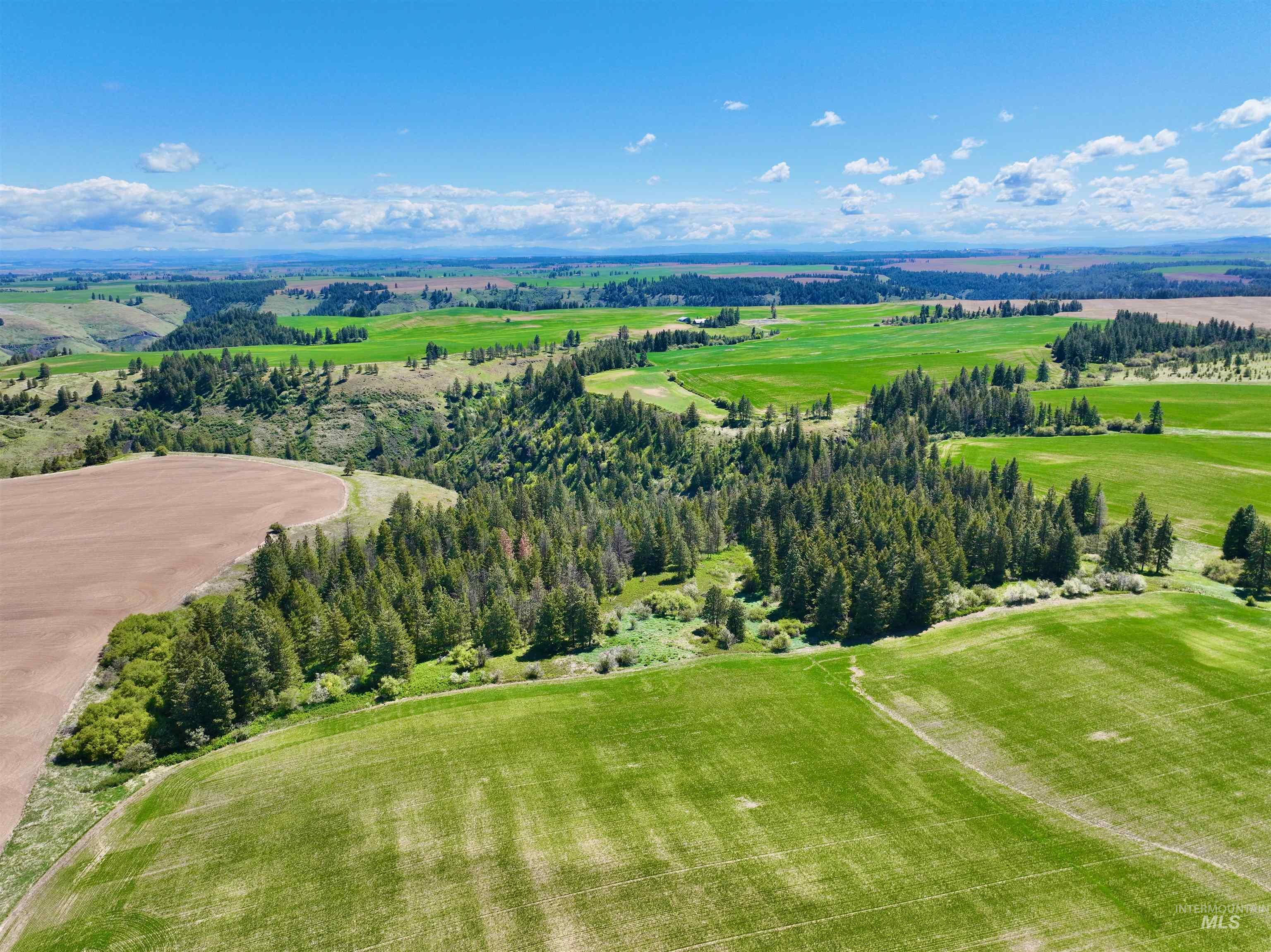 Tbd Fowler Road Culdesac, ID 83524 - Photo 9 of 15