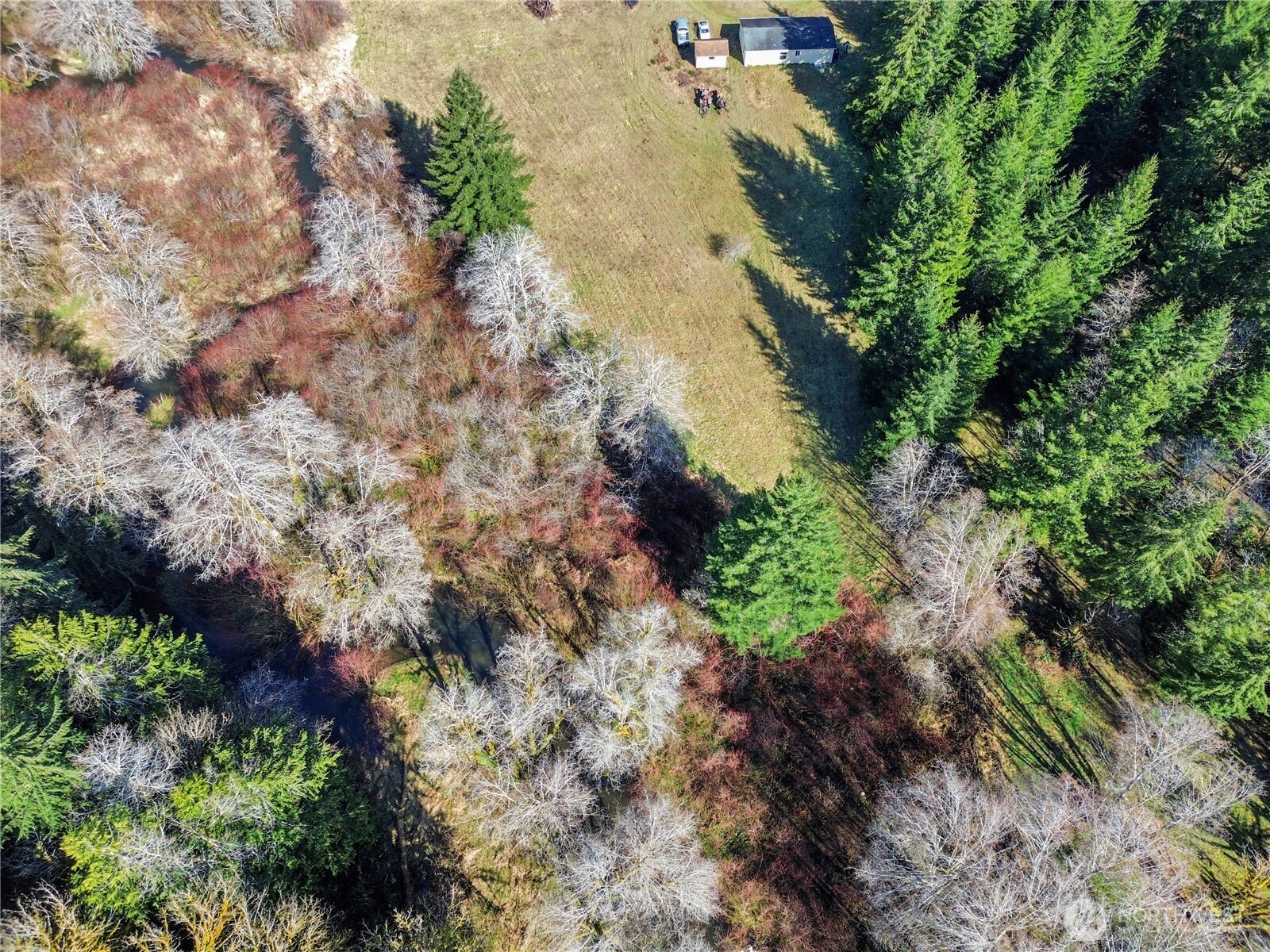13381 West Cloquallum Road Elma, WA 98541 - Photo 25 of 31 Gallery Image 25
