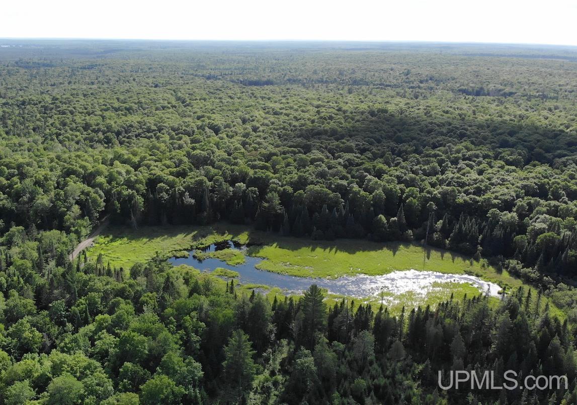 Tbd1 Cut Across Road Michigamme, MI 49861 - Photo 1 of 15