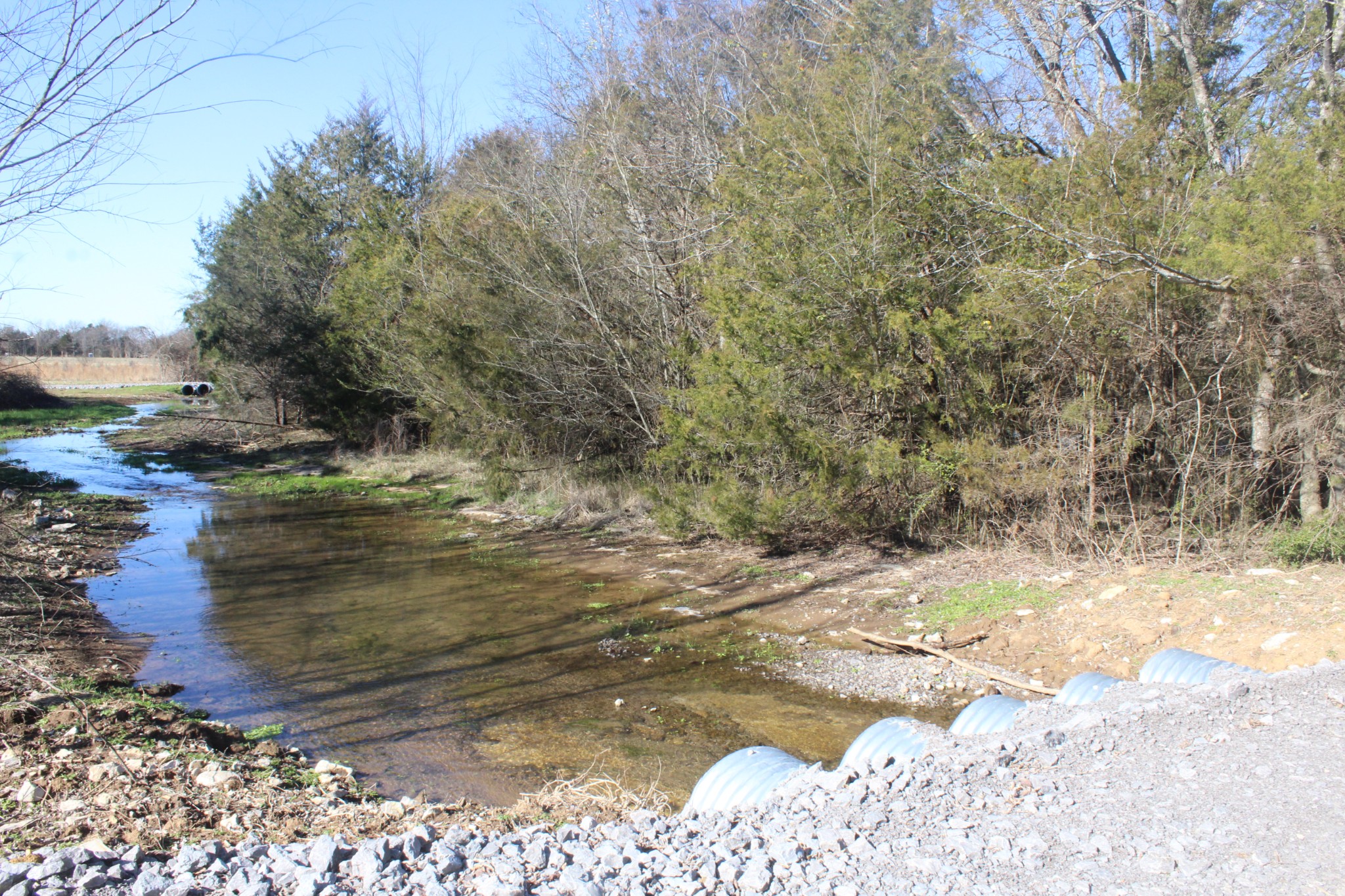 0 Cedar Grove Road Murfreesboro, TN 37127 - Photo 14 of 44 Gallery Image 14