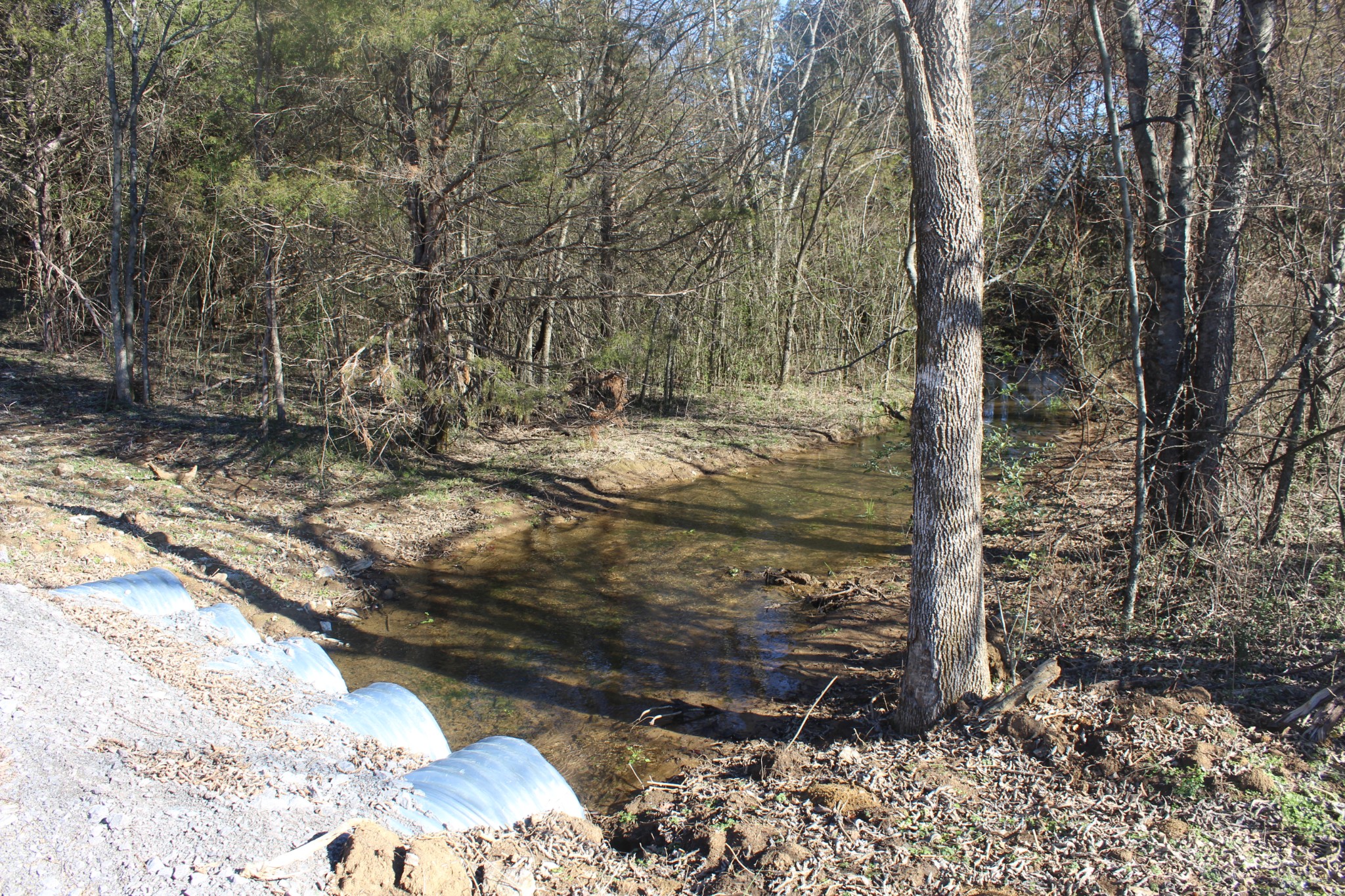 0 Cedar Grove Road Murfreesboro, TN 37127 - Photo 15 of 44 Gallery Image 15
