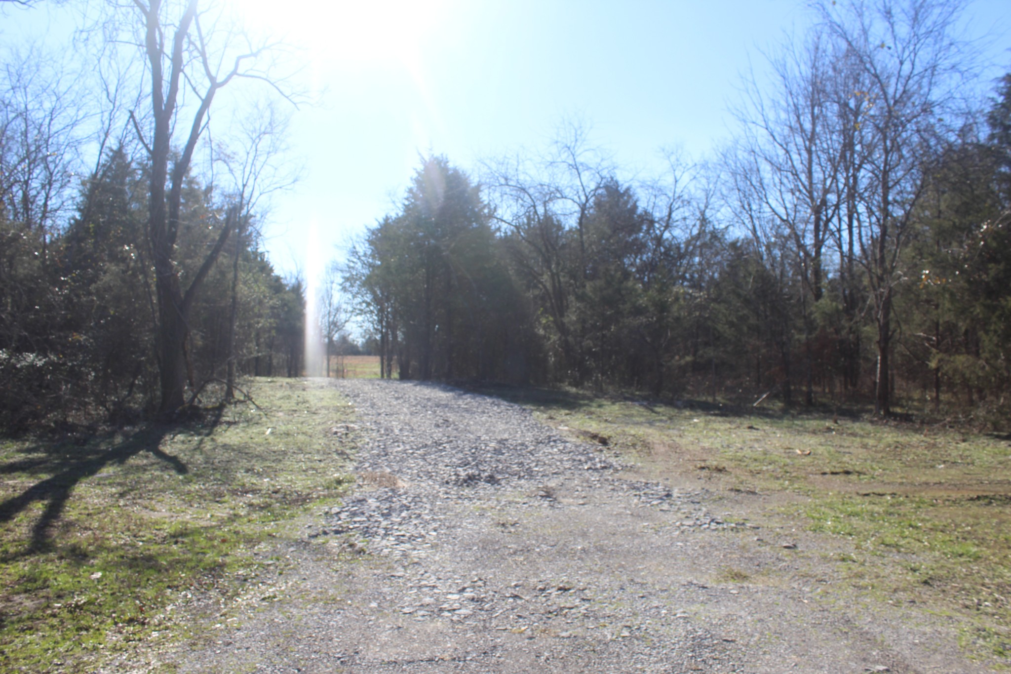 0 Cedar Grove Road Murfreesboro, TN 37127 - Photo 16 of 44 Gallery Image 16