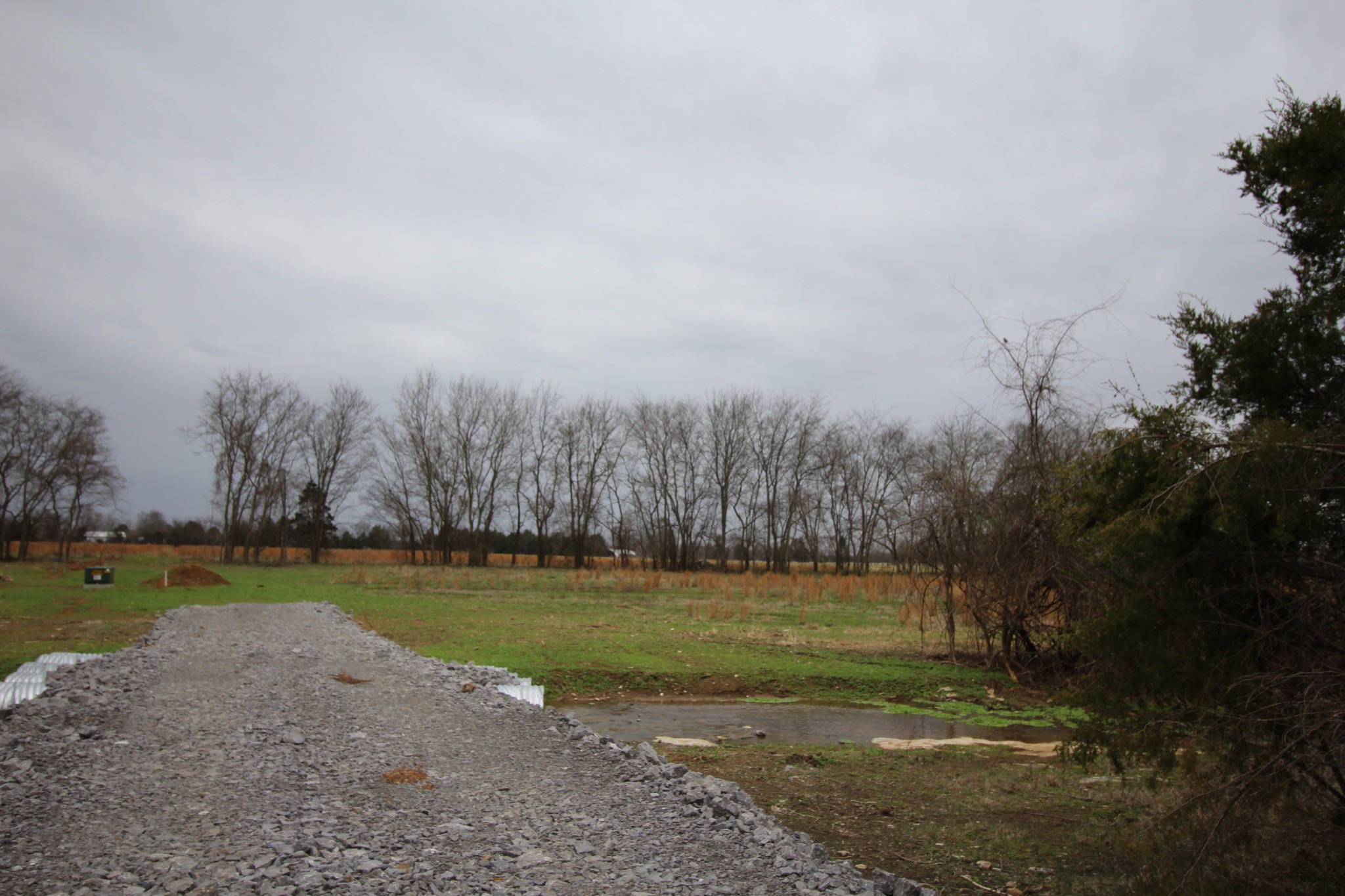 0 Cedar Grove Road Murfreesboro, TN 37127 - Photo 25 of 44 Gallery Image 25
