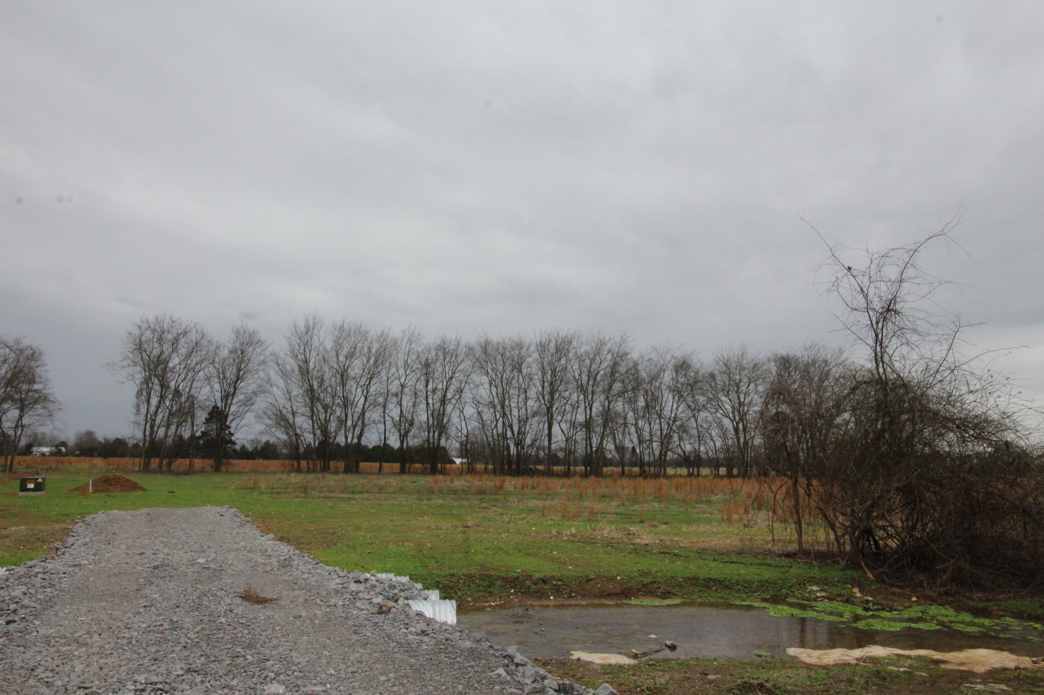 0 Cedar Grove Road Murfreesboro, TN 37127 - Photo 26 of 44 Gallery Image 26