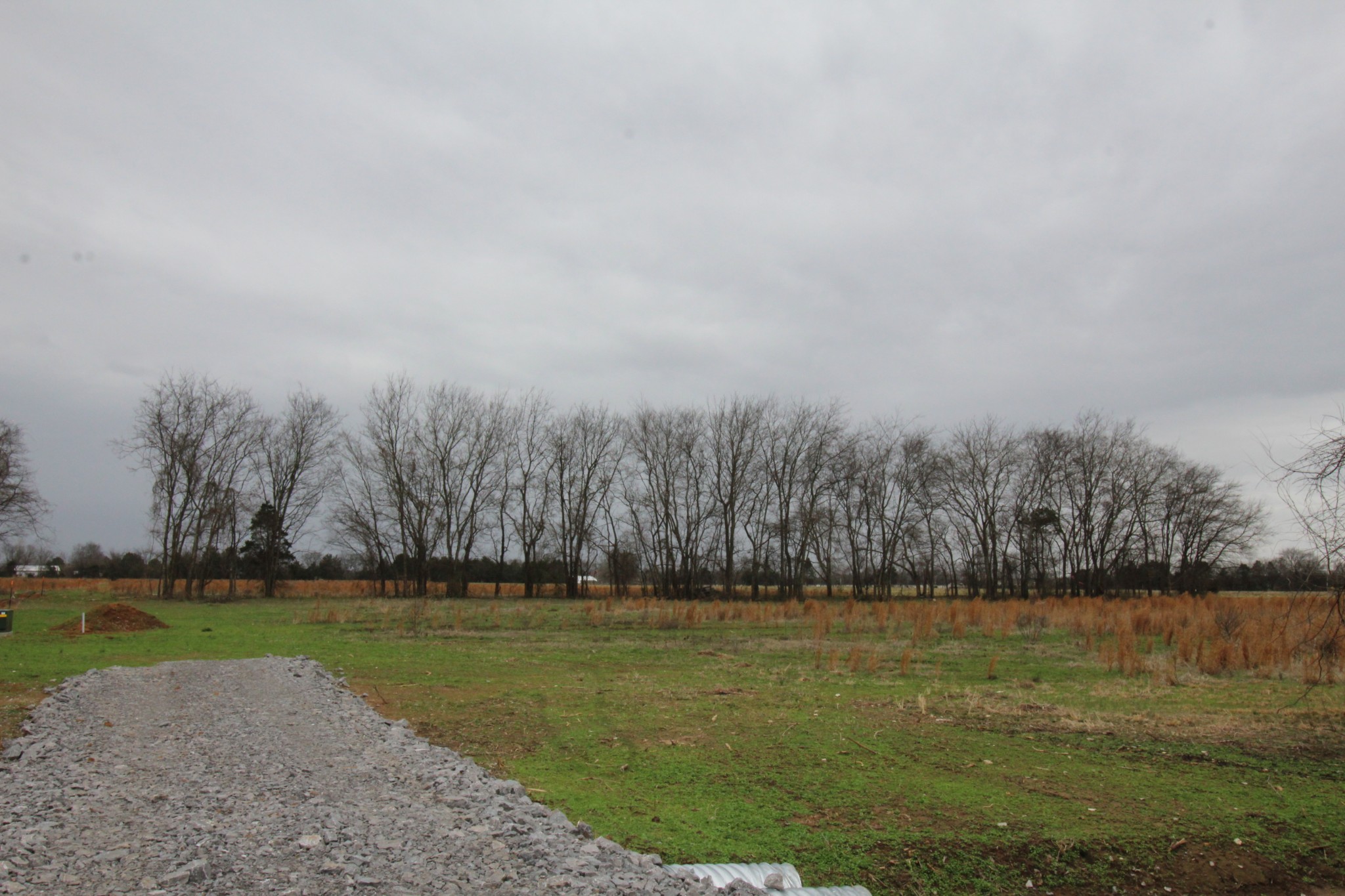 0 Cedar Grove Road Murfreesboro, TN 37127 - Photo 27 of 44 Gallery Image 27