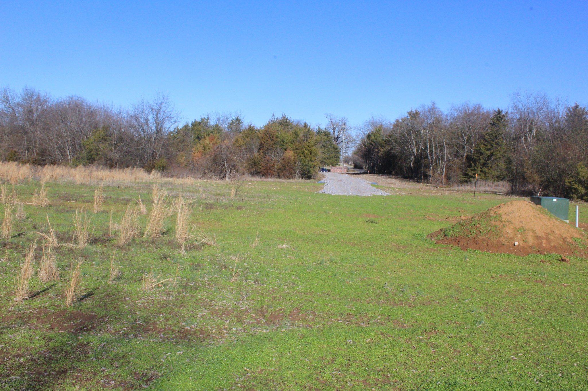 0 Cedar Grove Road Murfreesboro, TN 37127 - Photo 4 of 44 Gallery Image 4