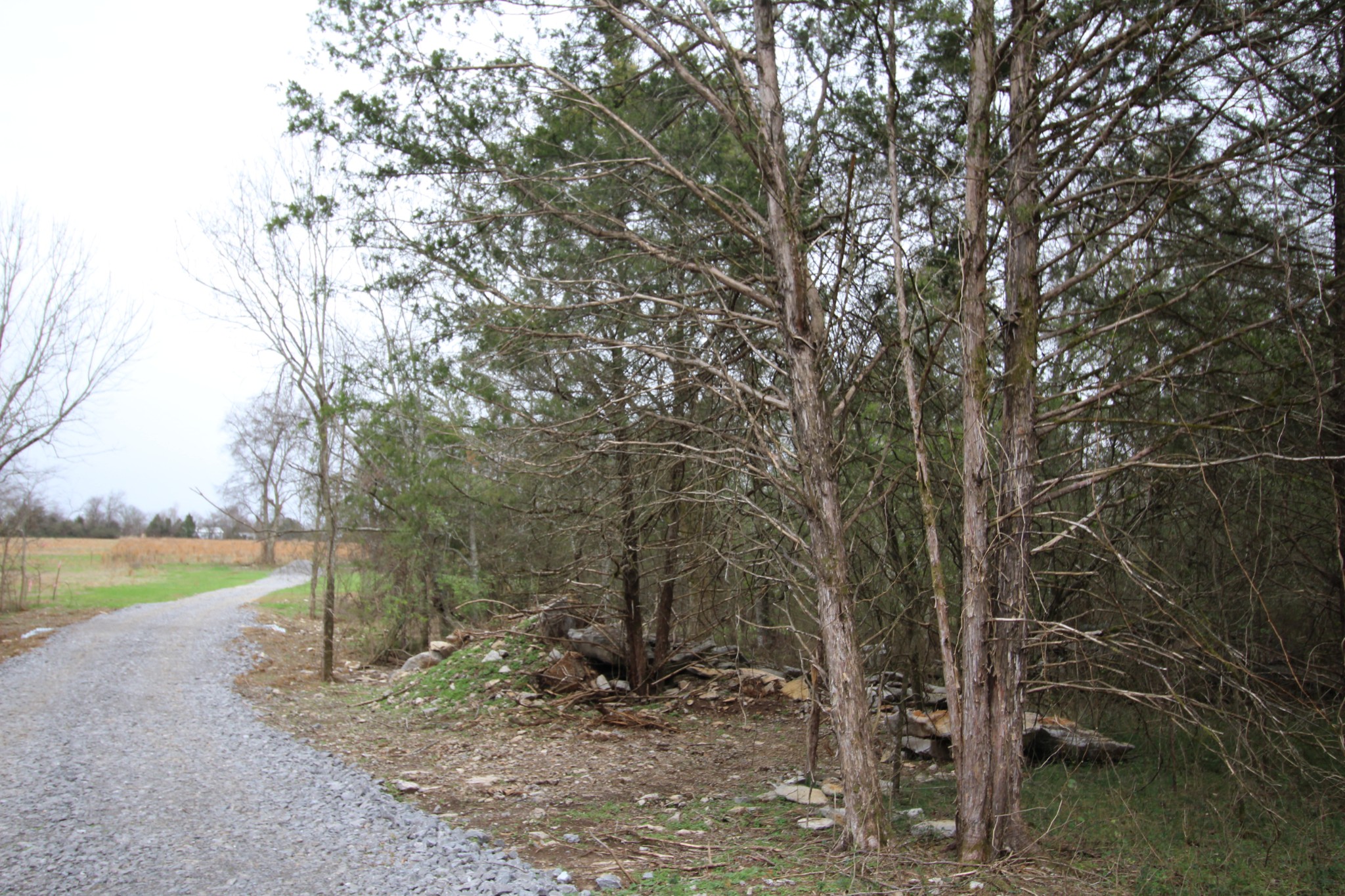 0 Cedar Grove Road Murfreesboro, TN 37127 - Photo 34 of 44 Gallery Image 34
