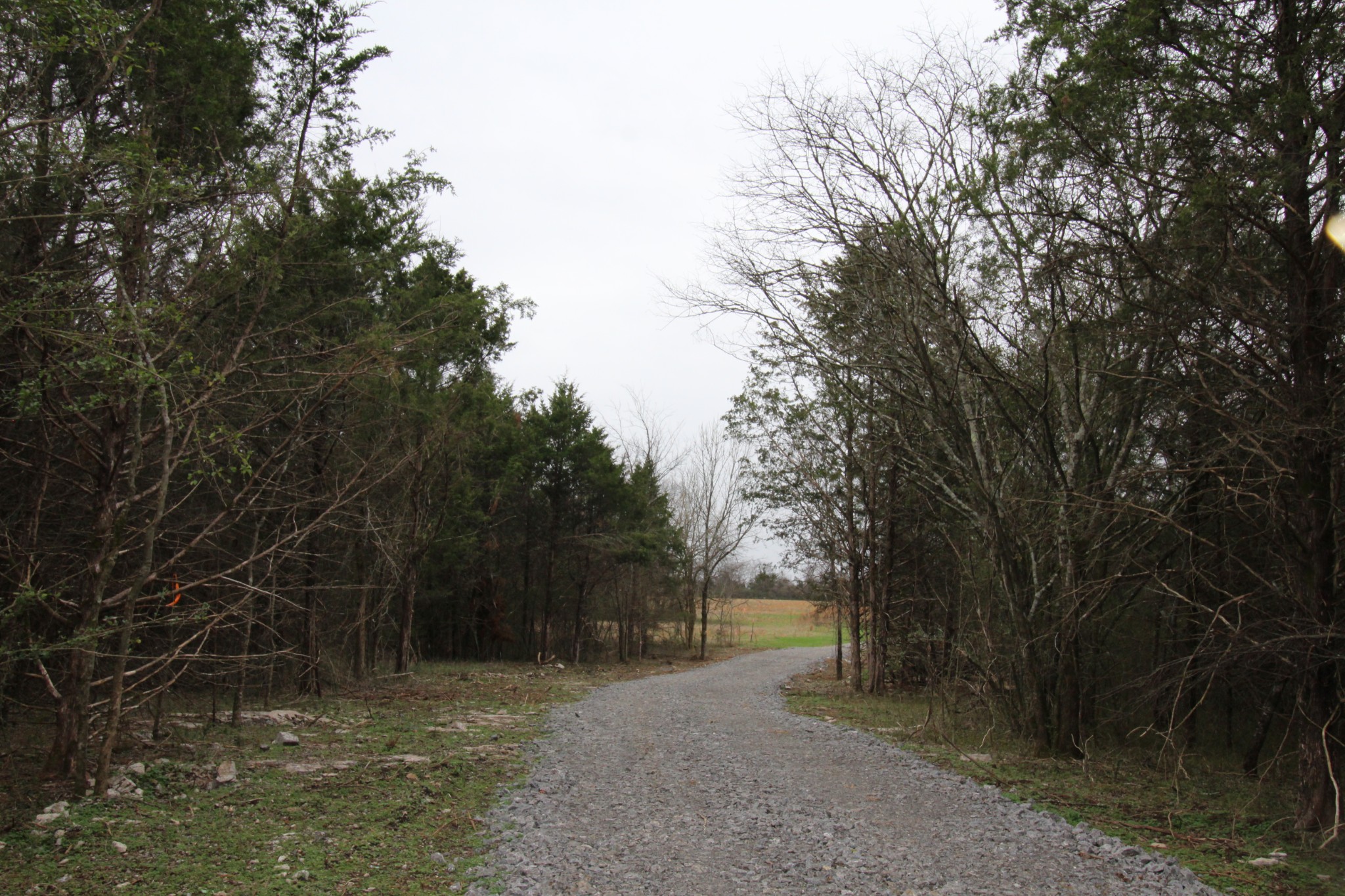 0 Cedar Grove Road Murfreesboro, TN 37127 - Photo 42 of 44 Gallery Image 42