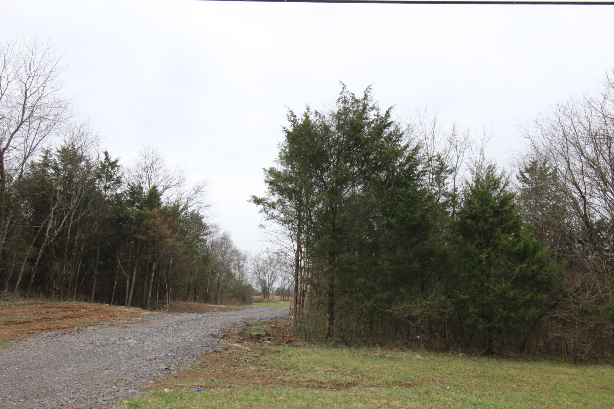 0 Cedar Grove Road Murfreesboro, TN 37127 - Photo 43 of 44 Gallery Image 43