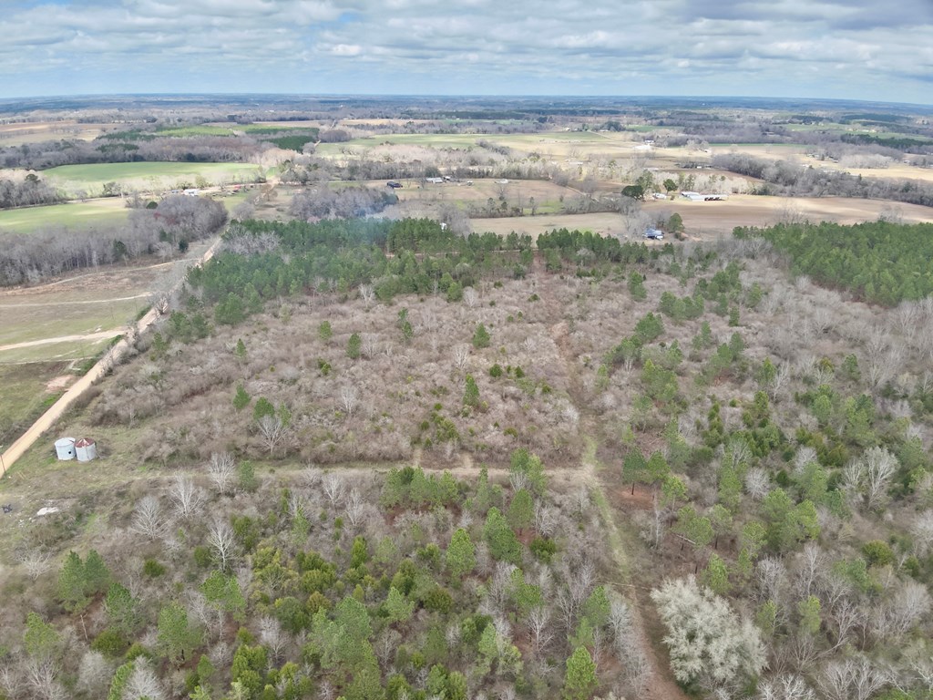86-acres New Hinson Road Slocomb, AL 36375 - Photo 8 of 15