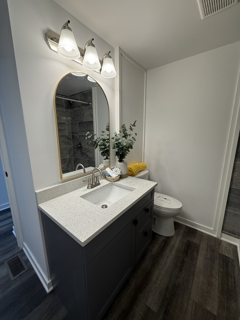 237 Blackthorn Road Matteson, IL 60443 - Photo 6 of 19 a bathroom with a sink and a mirror