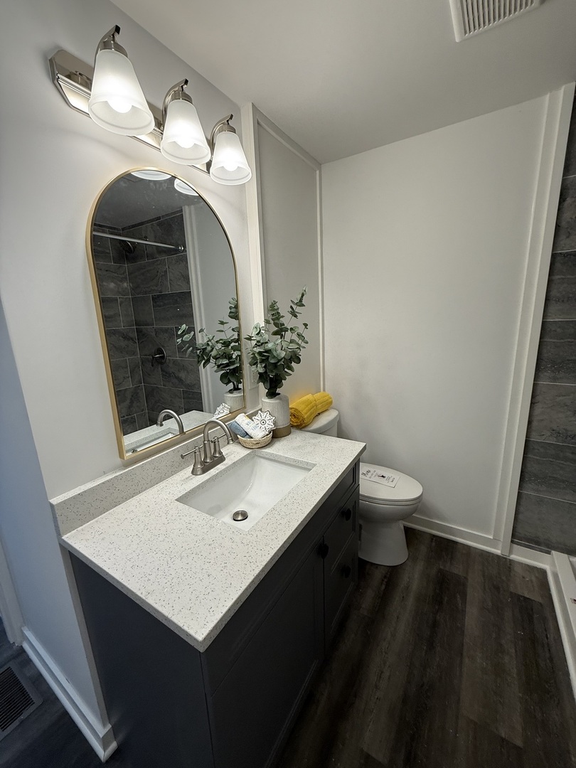 237 Blackthorn Road Matteson, IL 60443 - Photo 10 of 19 a bathroom with a sink and a mirror