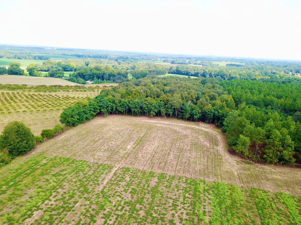 10.69-acres Summer Road Slocomb, AL 36375 - Photo 44 of 51