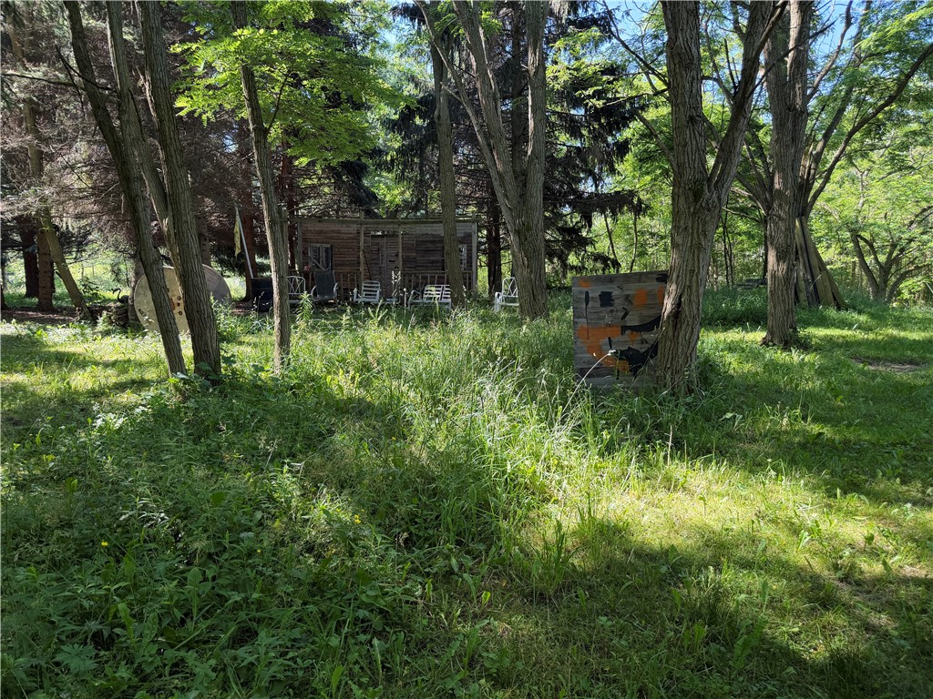 832 Moscow Road Hamlin, NY 14464 - Photo 40 of 48