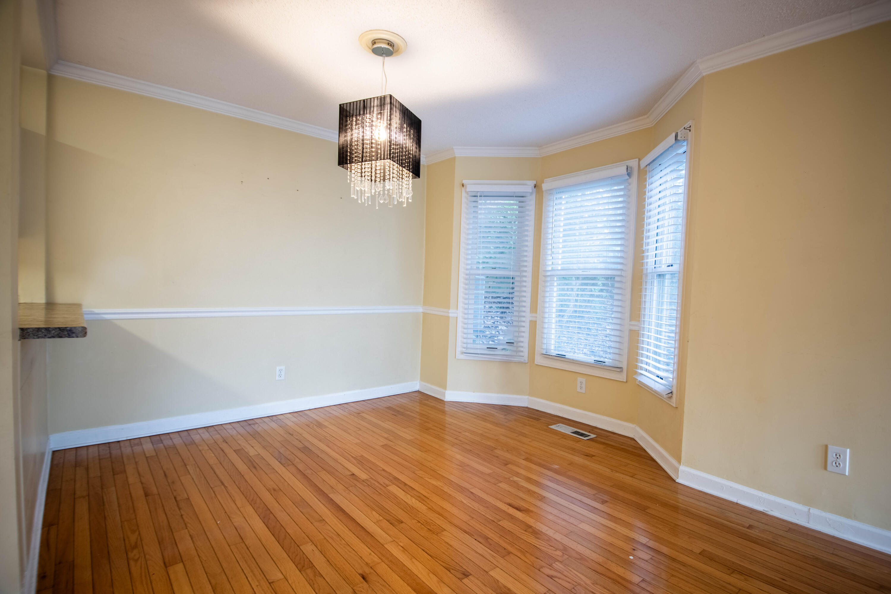 527 Winterview Lane Chattanooga, TN 37409 - Photo 15 of 53 Winterview 11