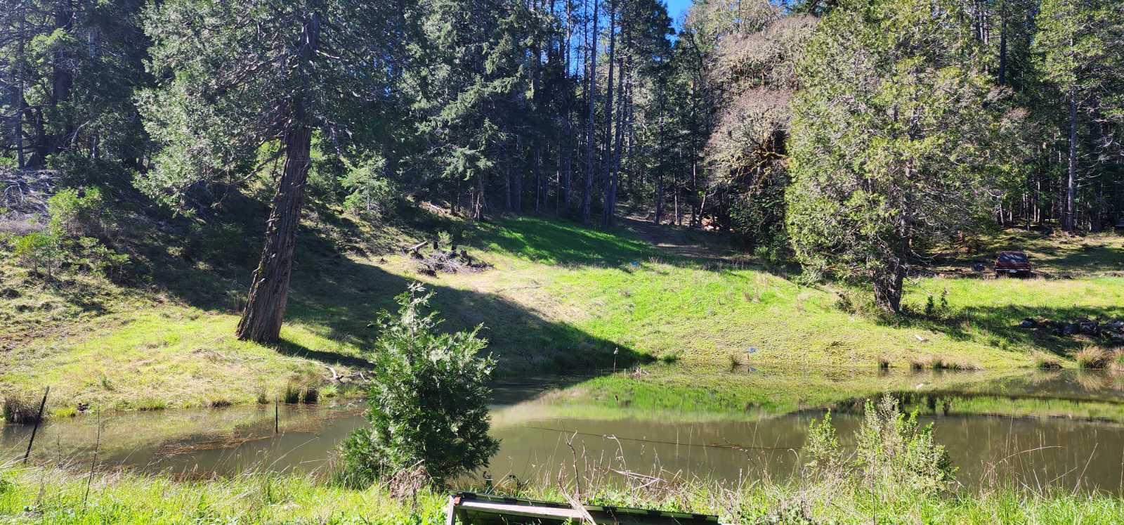 0 Salmon Creek Road Miranda, CA 95553 - Photo 12 of 19