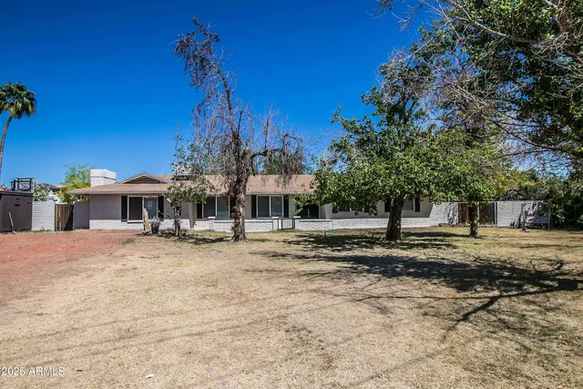 a view of a house with a yard and large tree