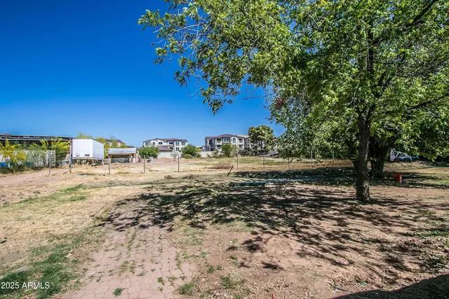 a view of a yard with an trees