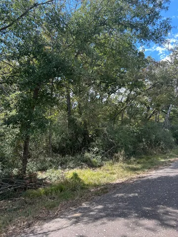 a view of a yard with a tree