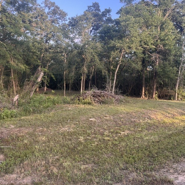 0 Kerny Hempstead, TX 77445 - Photo 4 of 7