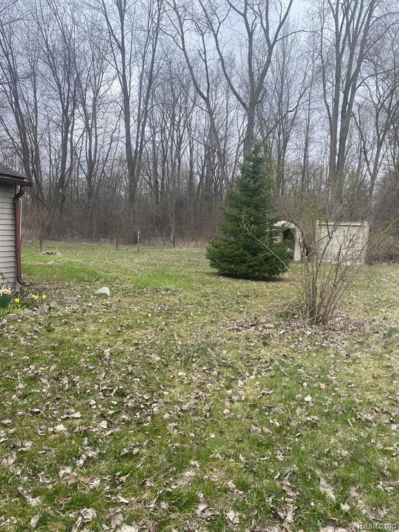26328 Sibley Road Romulus, MI 48174 - Photo 6 of 9