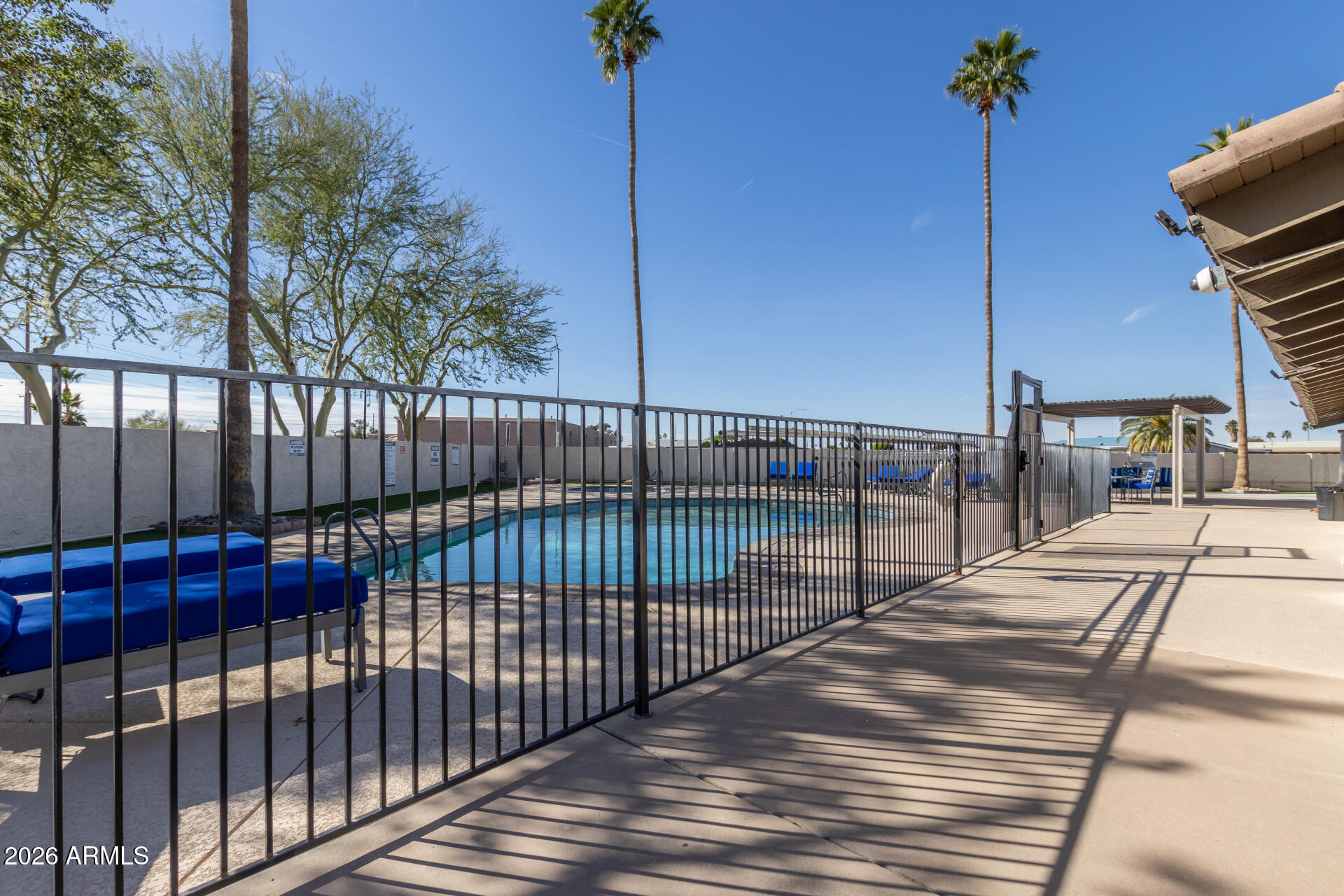 245 South 56th Street, Unit 64 Mesa, AZ 85206 - Photo 33 of 35 a view of a balcony with a potted plants