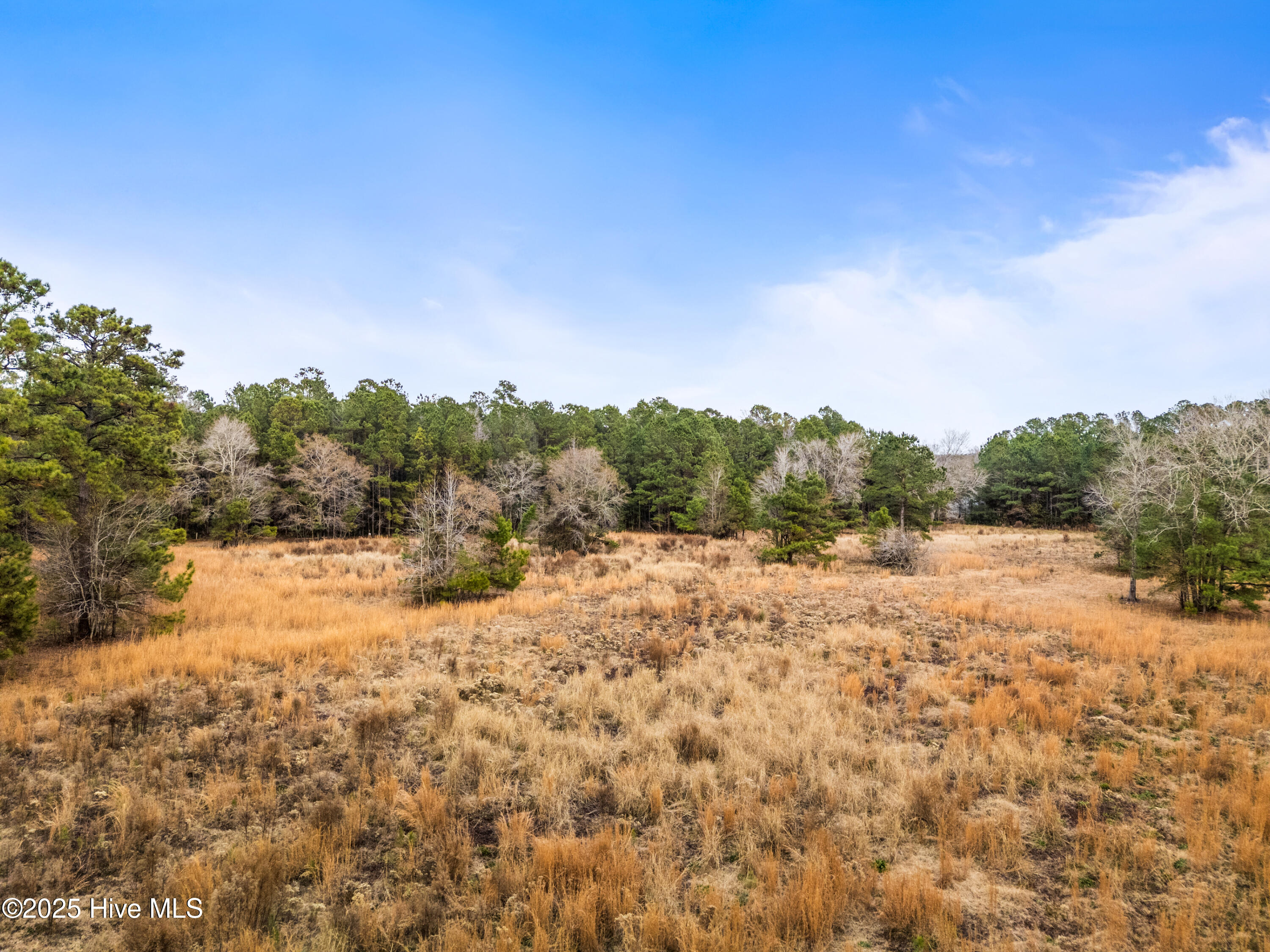 4601 Northwest Road Northeast Leland, NC 28451 - Photo 25 of 26 4601NorthwestRdLot-123