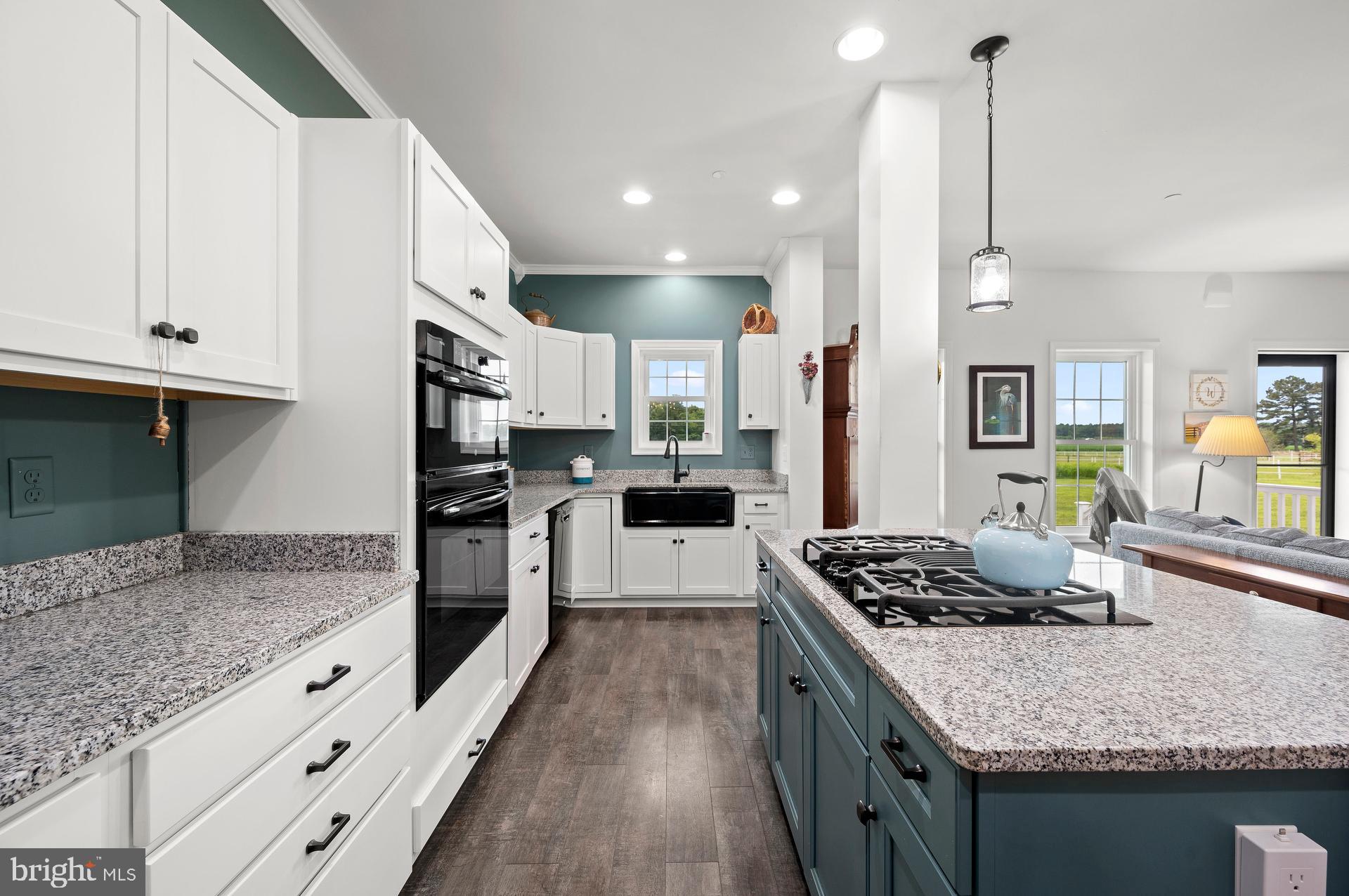 7545 Libertytown Road Berlin, MD 21811 - Photo 17 of 61 Like to Cook?