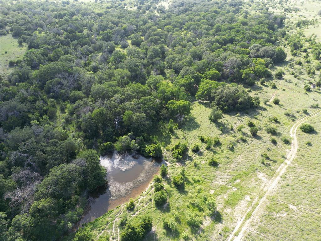 620 Hamilton Tx 76531 Hamilton, TX 76531 - Photo 4 of 8 a view of a forest with a tree