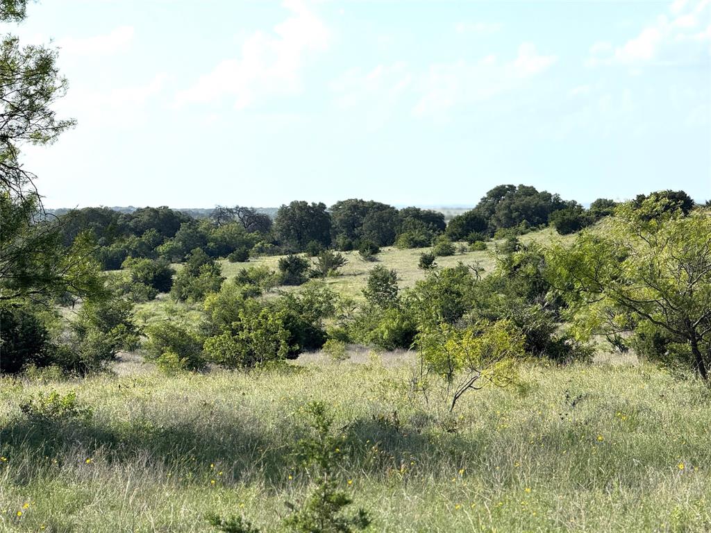 620 Hamilton Tx 76531 Hamilton, TX 76531 - Photo 5 of 8 a view of a lush green forest with lots of trees
